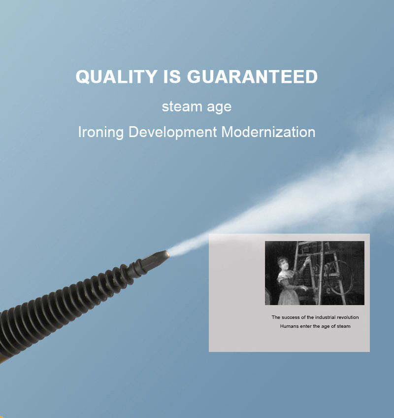 Steam Cleaner